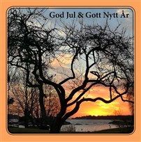 Foto: Nilla S&ouml;derqvist
